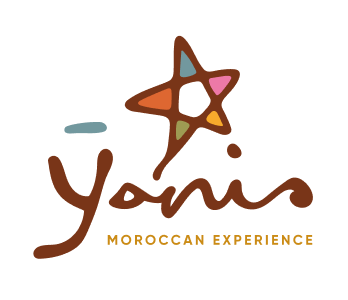 Yanis travel logo